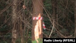 Russia -- protesters in Khimky forest near Moscow