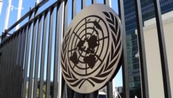 OZODNEWS: Давлат тўловларидаги монополия, педофилияга умрбод жазо, йилига 14 минг ёнғин