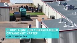 Более ста высланных из США узбекистанцев вернут на родину спецрейсом Нью-Йорк — Ташкент