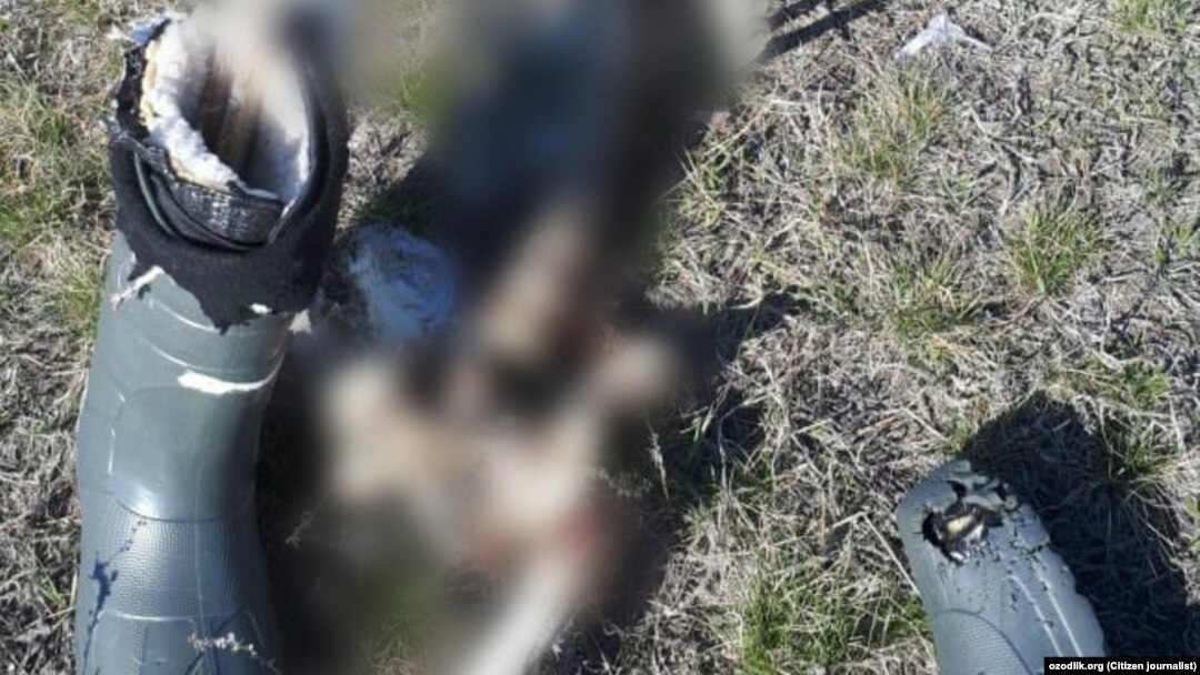 Mushukdan sharbat oqmoqda