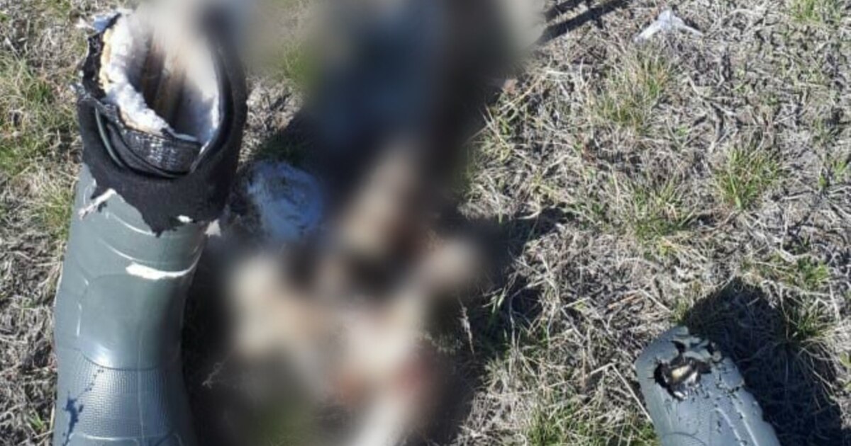 Erin Eden porno filmda Qisqa sochli etuk qoramagizlarning porno fotosuratlari