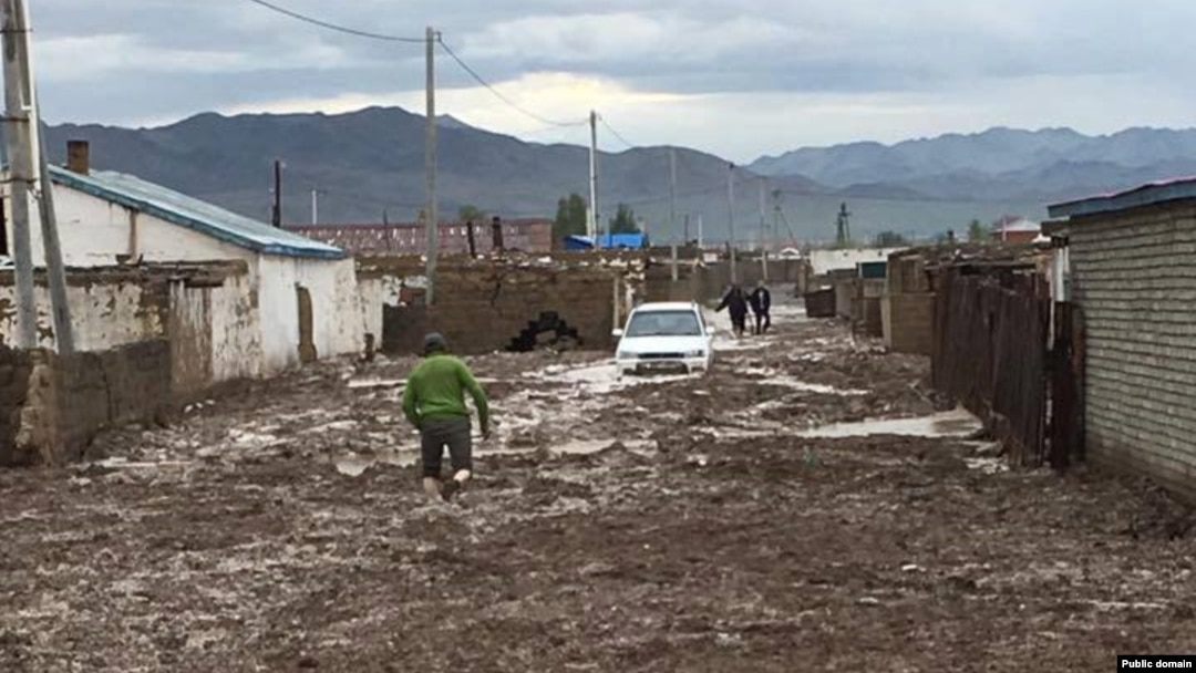 Неміс порно каталогтары