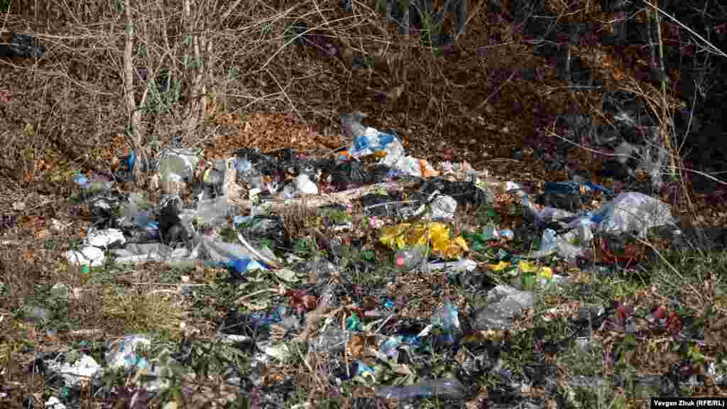 В лесу на окраине села &ndash; кучи мусора