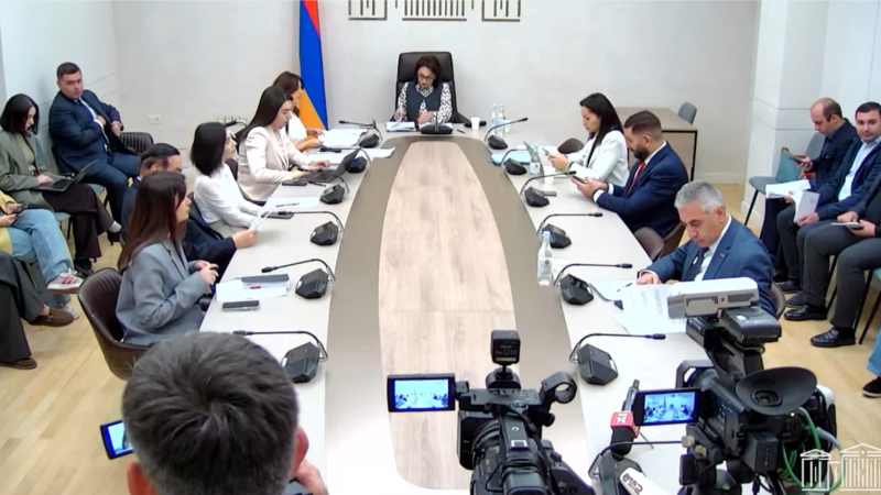Ընտանեկան բռնության դեմ պայքարի օրենսդրական նախագիծն արդեն ԱԺ օրակարգում է