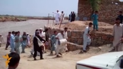 Ахбори бахшҳои Радиои Озодӣ