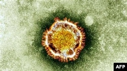 Здамак пад мікраскопам каронавіруса, зроблены Брытанскай агенцыяй аховы здароўя. 