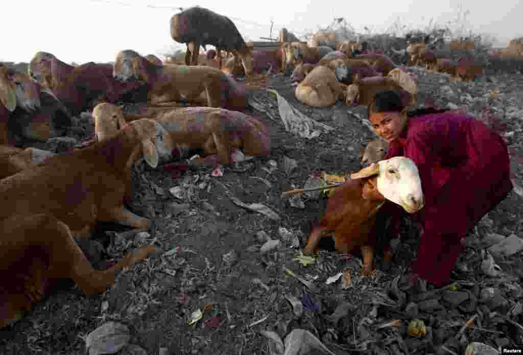 A girls hugs one of the sheep for sale ahead of Eid al-Adha on the outskirts of Karachi, Pakistan. Muslims across the world are preparing to celebrate the annual Festival of Sacrifice, which marks the end of the annual hajj pilgrimage, by slaughtering goats, sheep, cows, and camels in commemoration of the Prophet Abraham's readiness to sacrifice his son to show obedience to Allah. (Reuters/Athar Hussain)