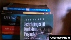 John Gribbin, "Schrödinger'in pişiyi" kitabı