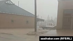 Daşoguz welaýaty, 5-nji aprelde ýagan doly we ýagyn ekinlere zyýan ýetirdi