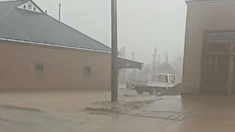 Doly ýagyp, ekini zaýalanan daýhanlar
ýagdaýyň 'gaty kyndygyny' aýdýarlar