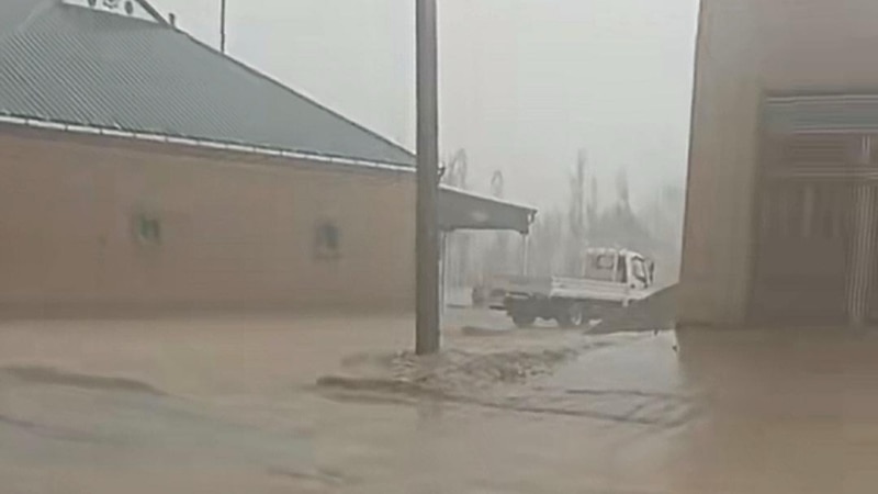 Daşoguzda buzly ýagyn ýaşaýjylaryň jaýlaryna, ekin meýdanlaryna zyýan ýetirdi