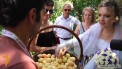 Ծիրանօրհնեք եւ ծիրանի համտես. «Ոսկե ծիրանի» 9-րդ մեկնարկը