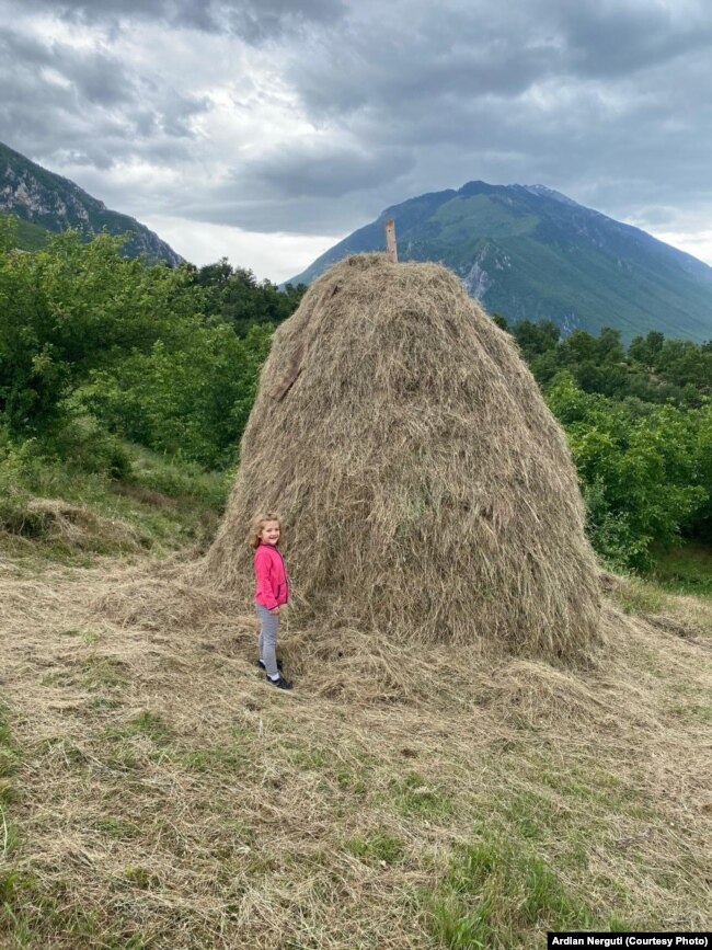 Vajza e çiftit Nerguti në fermë.