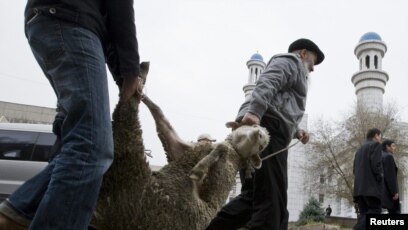 Тамағындағы мүшенің видеосы