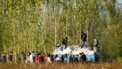 Тиббиёт ходими арзидан сўнг пахта учун олинган пули қайтариб берилди