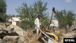 یکی از باغ های میوه در ولایت ننگرهار که در نتیجه سیلاب به شدت آسیب دیده است 