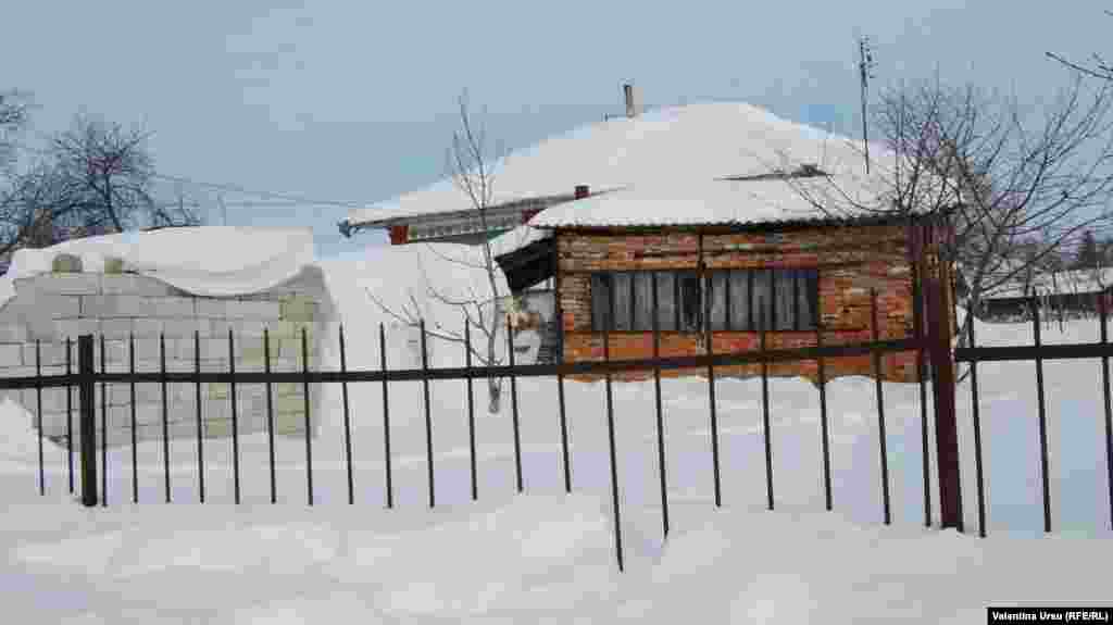 Cernoleuca, Donduseni