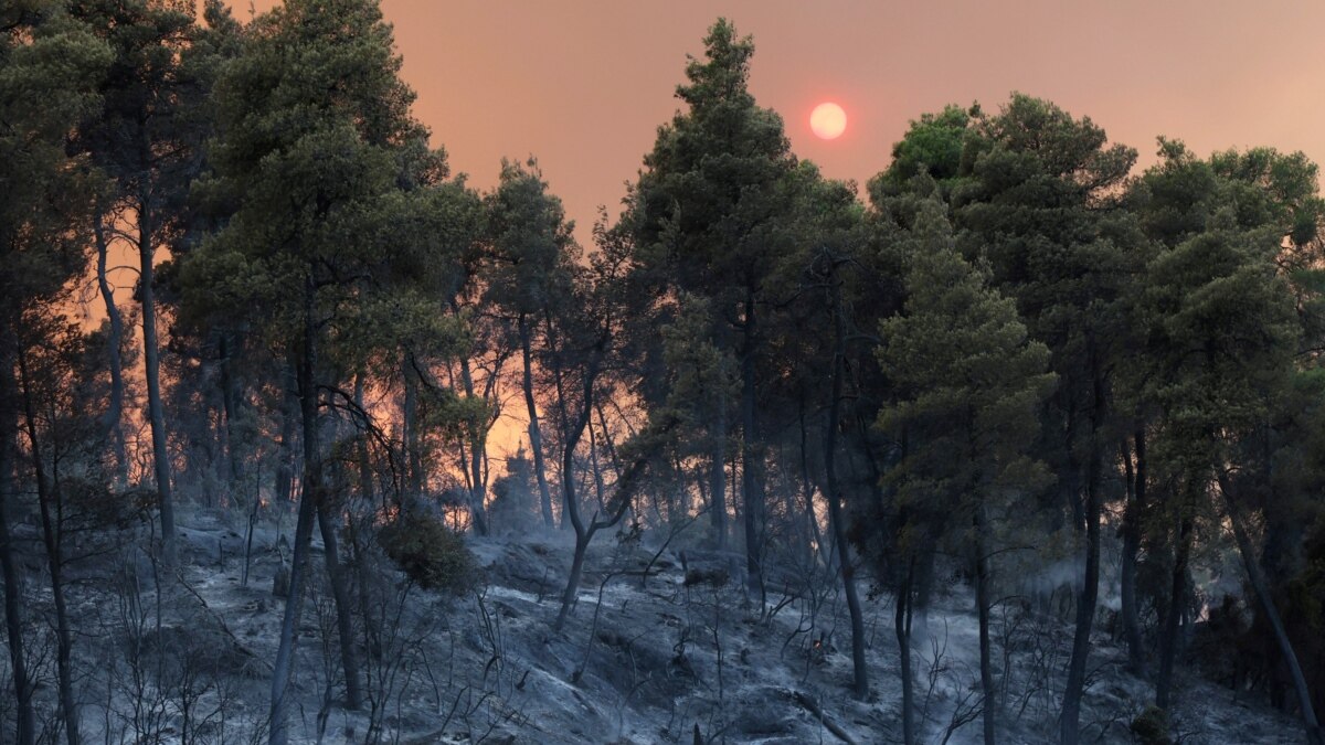 Νέες φωτιές κοντά στην Αθήνα