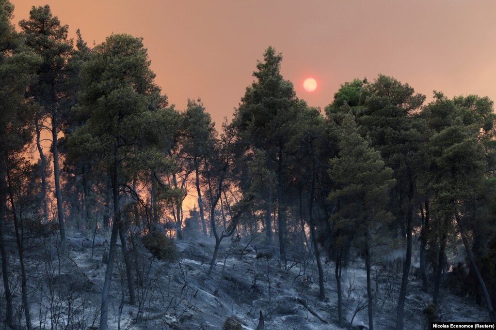 Pamje e një zone të shkrumbuar, teksa një zjarr i egër përhapej afër fshatit Limni, në ishullin e Evias, në Greqi. (7 gusht)
