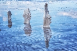 Дерев'яні стовпці покриті візерунками кристалізованої солі