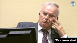 Bosnian Serb military leader Ratko Mladic (file photo)