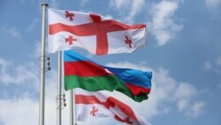 Ադրբեջանի նախագահն ընդունել է Վրաստանի արտգործնախարարին