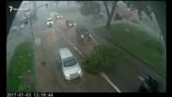 Ливни и штормовые ветра вызвали наводнения в Уругвае и Аргентине (видео)