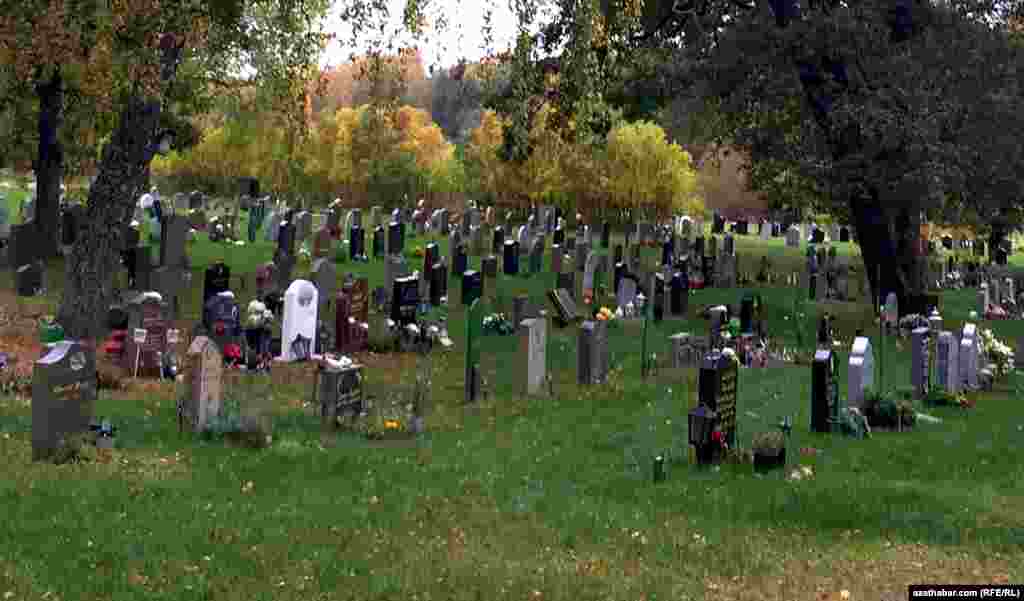 Şiralynyň jaýlanan gonamçylygy