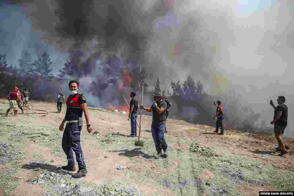 Zjarrfikësit duke luftuar me zjarret e egra në Mugla. (1 gusht)