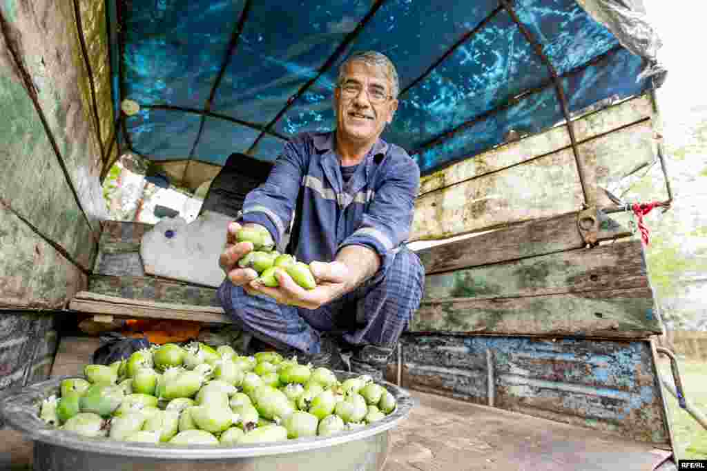 Bağlarında müxtəlif meyvələr yetişdirib bazara çıxarmaq istəyən sakinlər qiymətin aşağı olmasından narazıdırlar. Deyirlər, qapıdan ən keyfiyyətli feyxoanın kilosunu 60 qəpikdən alıb, bazarda iki-üç qat qiymətə satırlar.