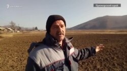 Огороды села Стеклянуха