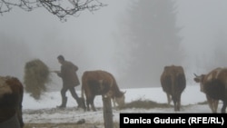 Život na selu, fotoarhiv