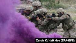Грузинские военные на многонациональных учениях «Достойный партнер»