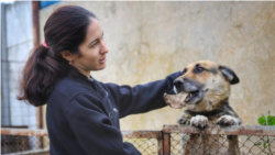 Repika Ahtemova (Asan Ahtemovnıñ apayı) ve köpekleri Honda