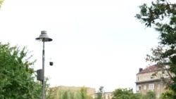  Хартия, пластмаса, стъкло. Как да изхвърляме боклука си разделно 