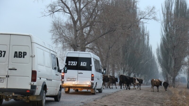 Бишкектин четинде кичи автобус аңтарылып кетти