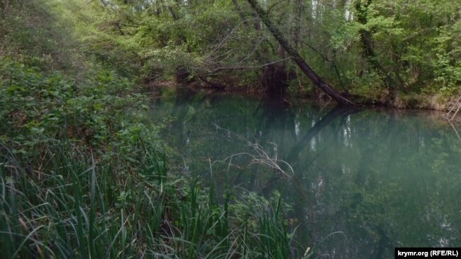 Вода в реке Черной начала зеленеть еще в июне