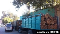 Uzbekistan - wood for sell in bazaar
