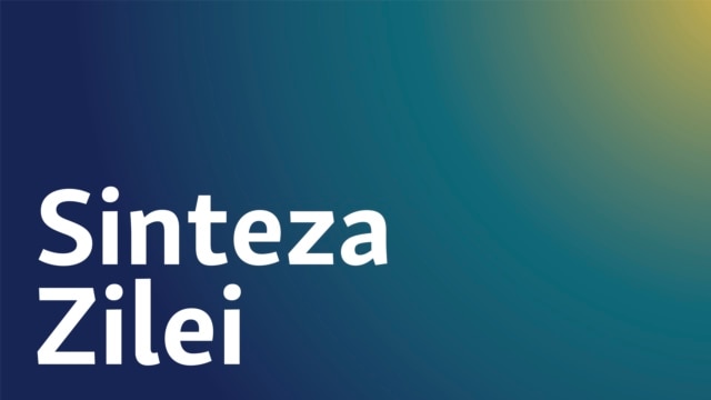 Sinteza zilei