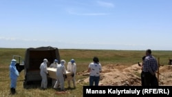 Коронавирустан қайтыс болғандардың зираты. Алматы облысы, Қараой ауылы маңы. 25 мамыр 2020 жыл.