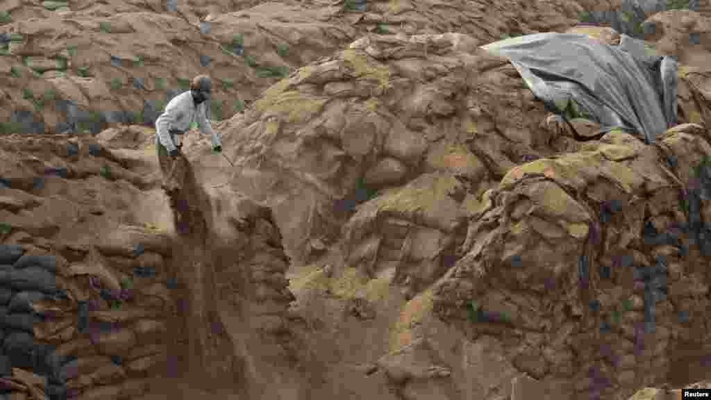 A laborer empties a sack of rotten paddy crop at Khamano village in the northern Indian state of Punjab.(Reuters/Ajay Verma)