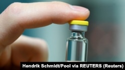 Образец вакцины IDT Biologika произведенной в Германии.