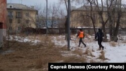 Мобильная группа на отлове агрессивных собак в Красноярске