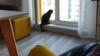 Image result for стась