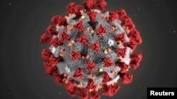 Зображення нового коронавірусу (2019-nCoV)