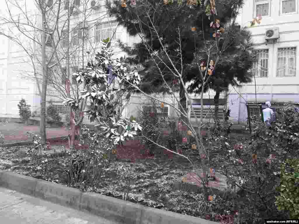 Во дворе жилого дома, Ашхабад 