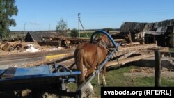 Разьвітаньне з падворкам