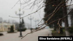 Весна в Києві, 2020 рік