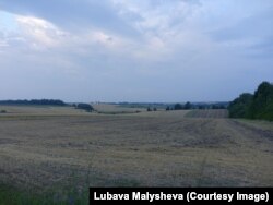 Вид на поля в деревне Ивана, Якова, Анны, Ирины