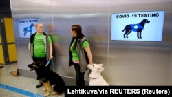 Psi Valo i E.T. koji su dresirani da otkriju korona virus. Helsinki aerodrom u Vanti, Fisnka, 22. septembar 2020.